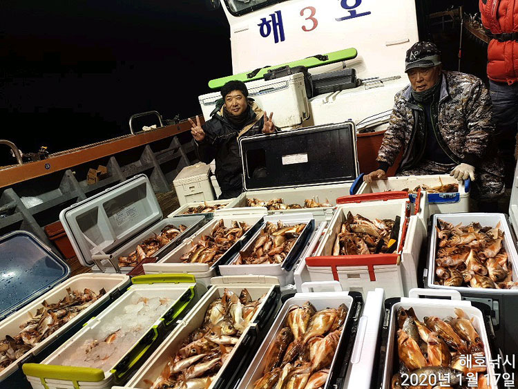 바다낚시 > 점주선장조황 > [여수해호낚시] 16일 다잡아 전투낚시로 넉넉하게 담아왔습니다.